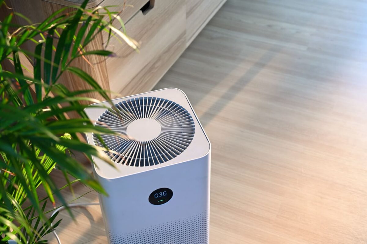 Business Owners: The Importance of Owning an Air Purifier
