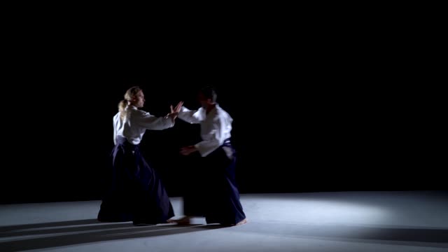 Why watch Aikido clip video?